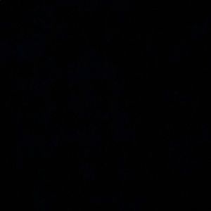 Meet your Posher, Rosie